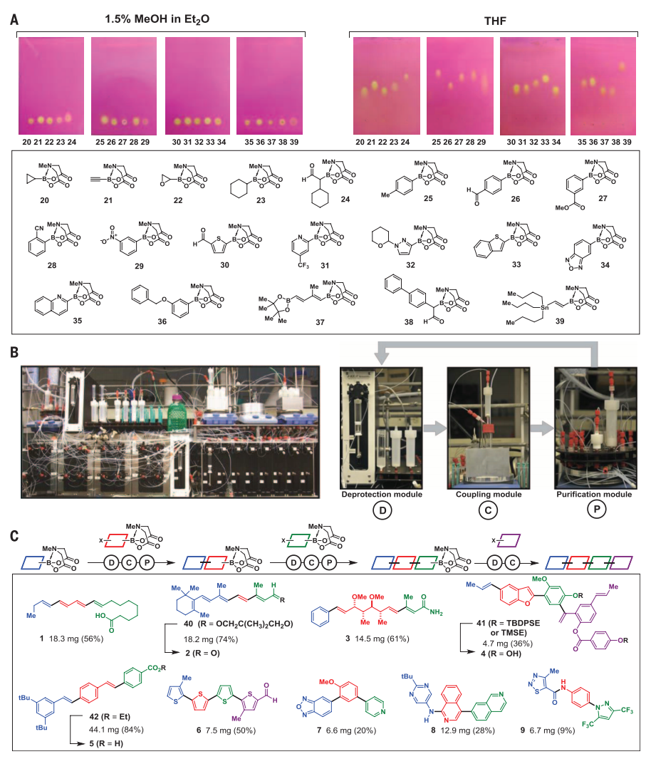 Science | Synthesis of many different types oforganic small molecules ...